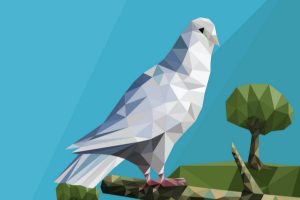 ניקוי צואת יונים