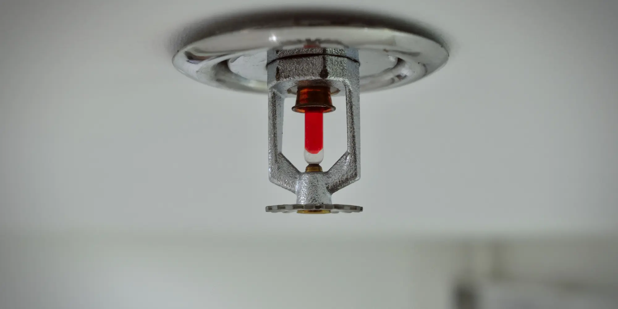 מערכות גילוי אש